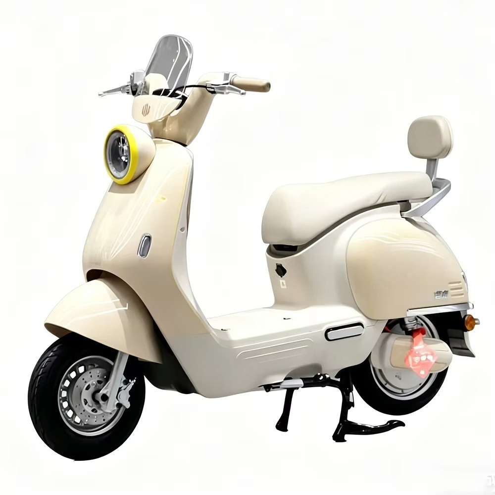 EER Adult electric motorcycle  - Brake Disc Motorcycle 评论和价格