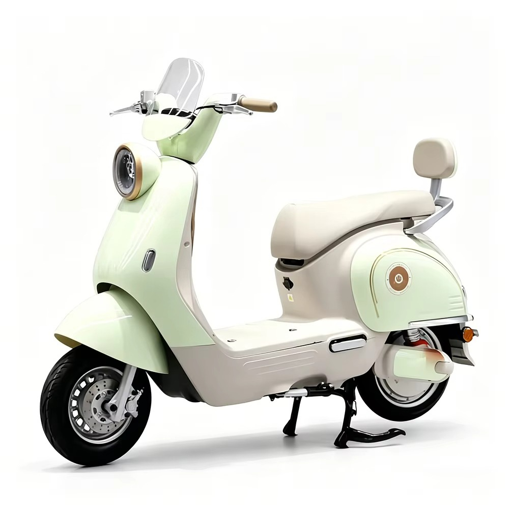 EER Adult electric motorcycle  - Brake Disc Motorcycle 评论和价格